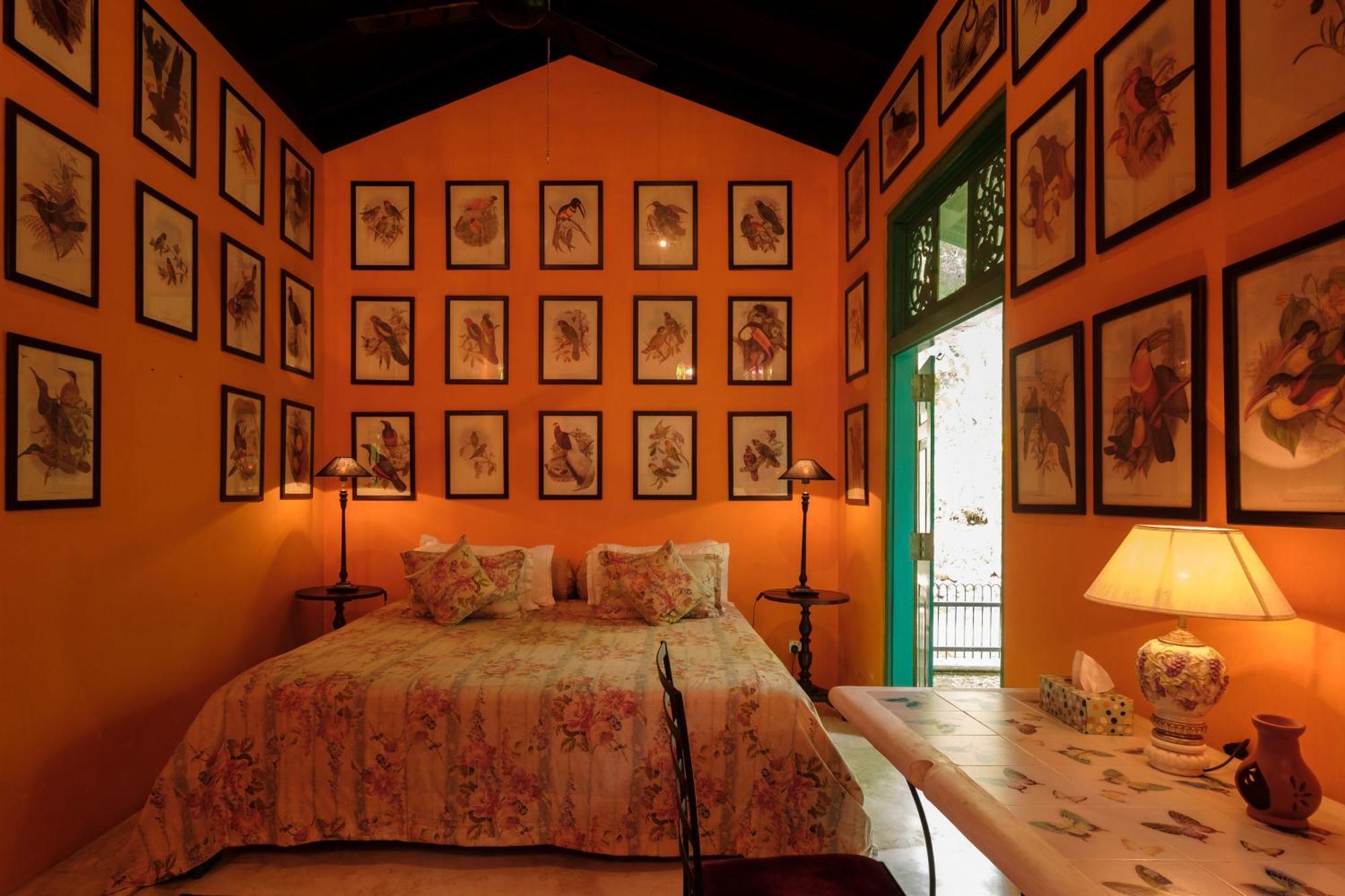 Casa Heliconia Hotel Gampaha Kültér fotó