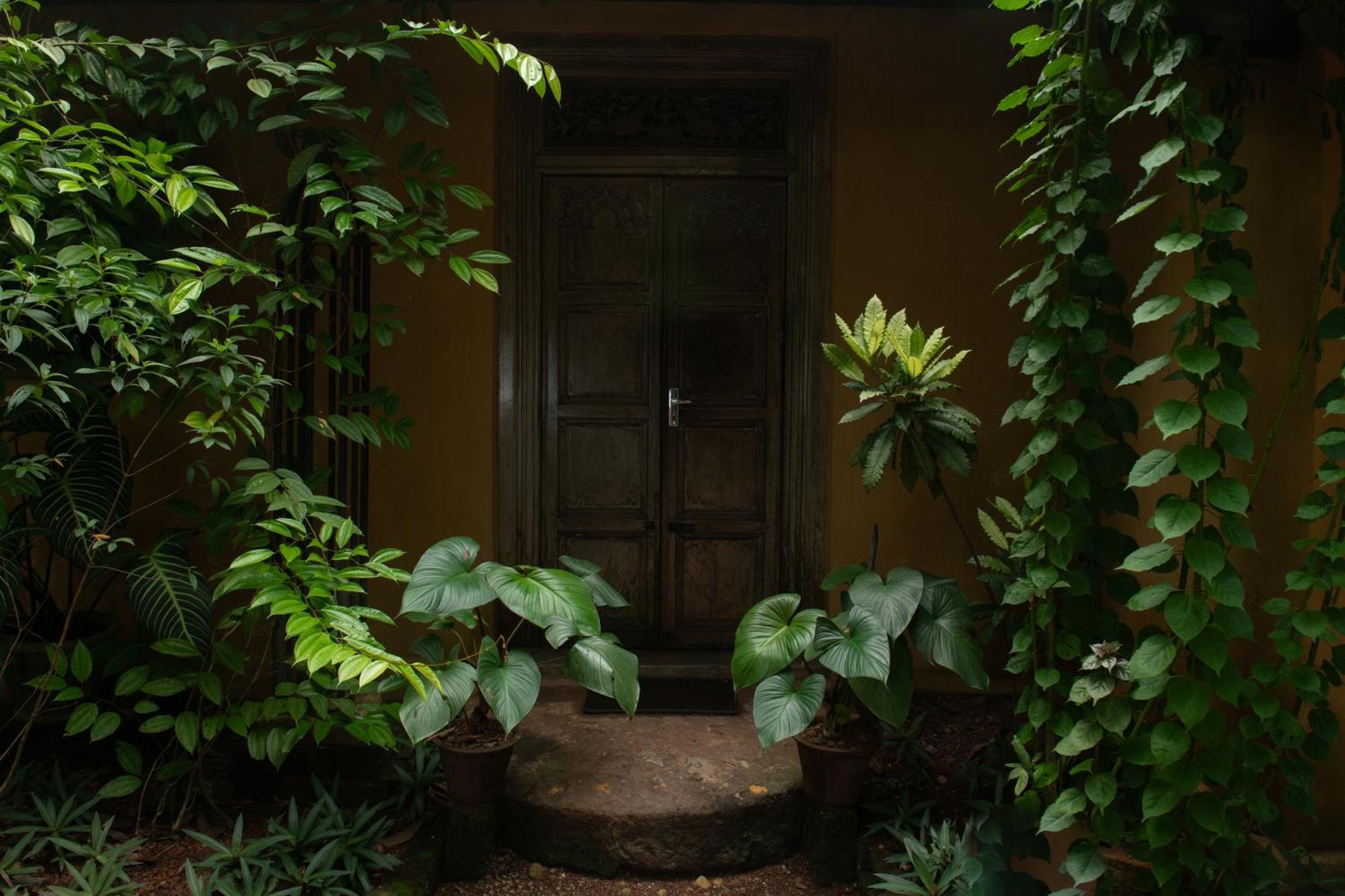 Casa Heliconia Hotel Gampaha Kültér fotó
