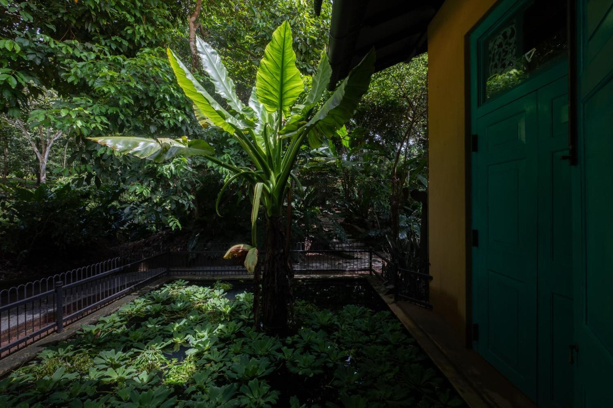 Casa Heliconia Hotel Gampaha Kültér fotó