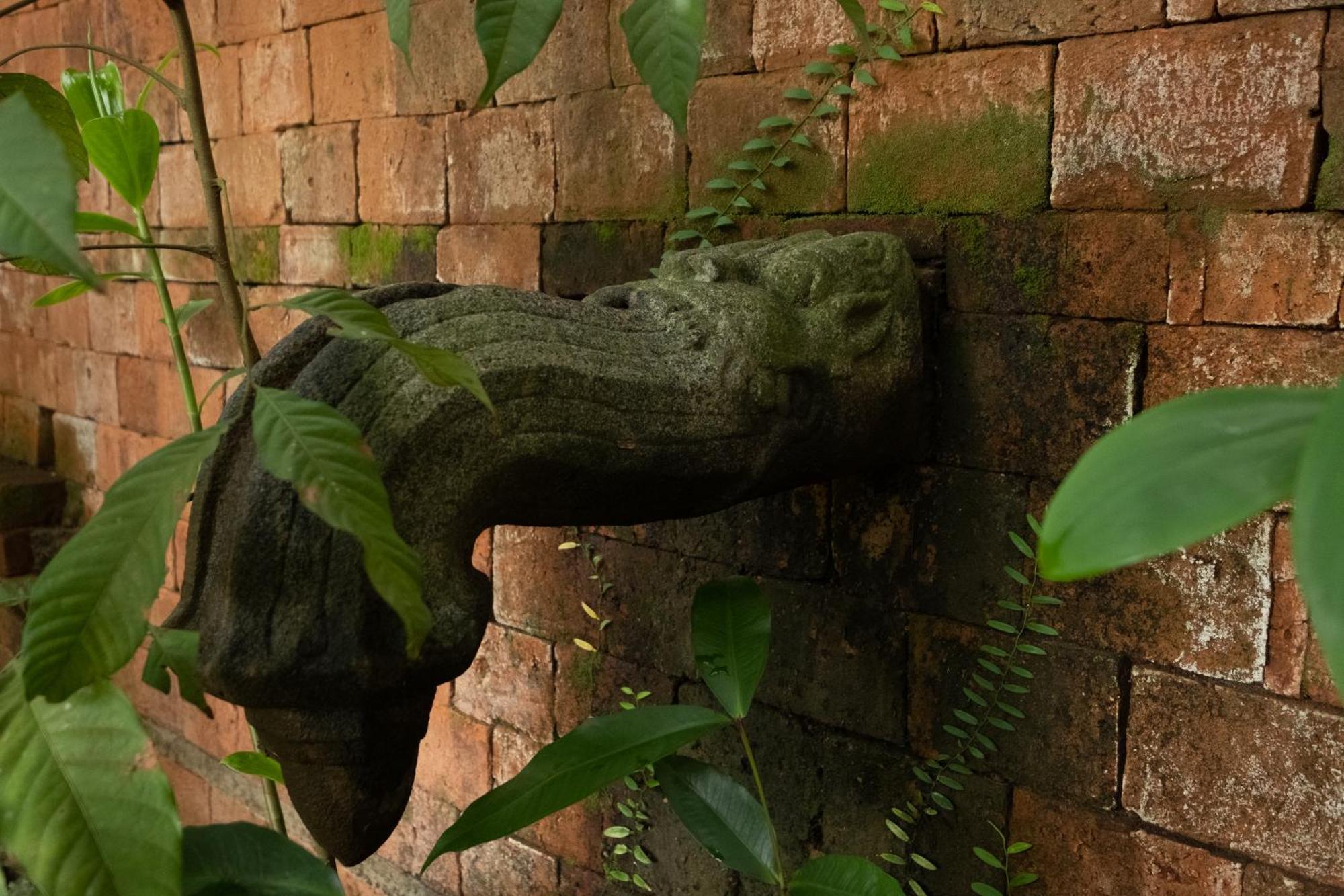Casa Heliconia Hotel Gampaha Kültér fotó